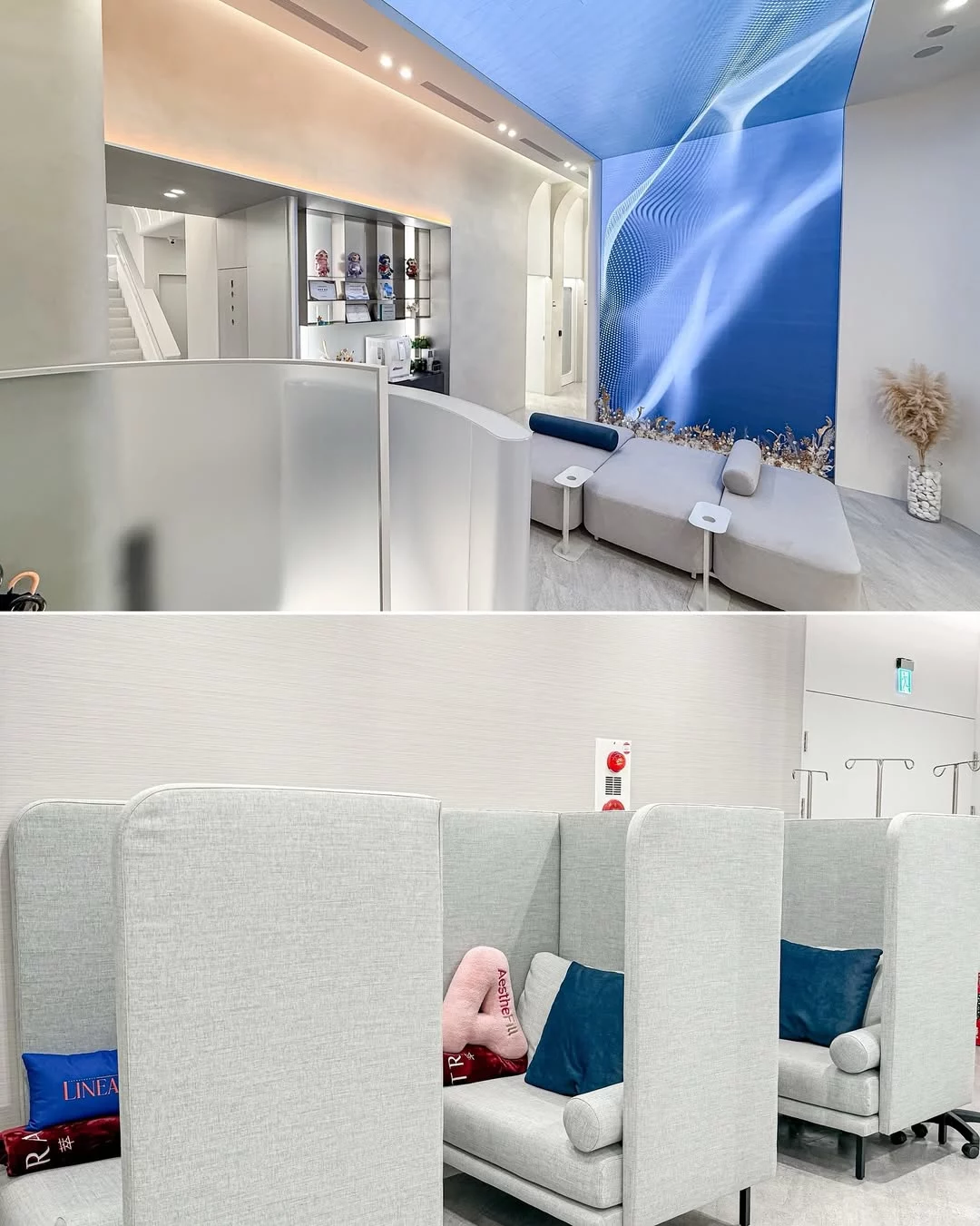 C Chestnut31 20260326 2