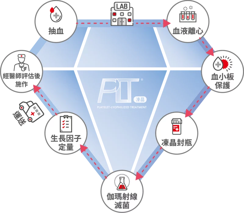 鑽石製程LabPLT LOGO 1